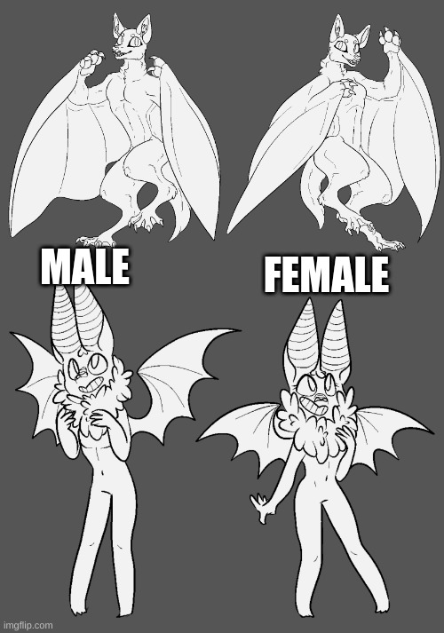 Im (Re) Making a bat, and i cant decide on a template. [templates by Samalamb Bases} | FEMALE; MALE | made w/ Imgflip meme maker