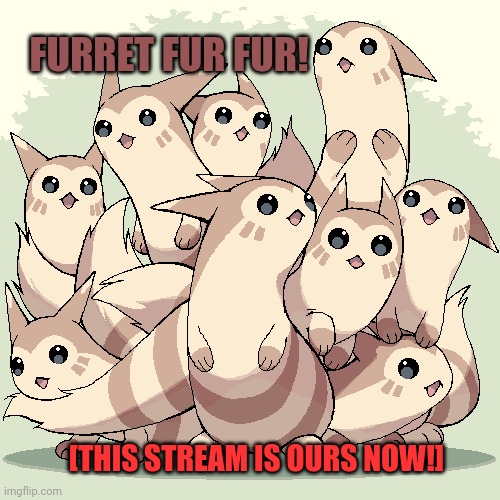 The furret invasion continues | FURRET FUR FUR! [THIS STREAM IS OURS NOW!] | image tagged in furret,invasion,pokemon,cute animals,fur fur fur | made w/ Imgflip meme maker