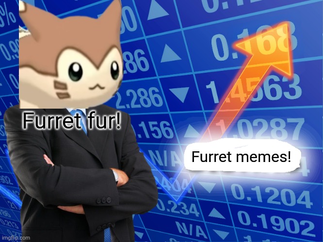 Furret memes for the win! | Furret fur! Furret memes! | image tagged in empty stonks,furret,pokemon,anime,cute animals | made w/ Imgflip meme maker