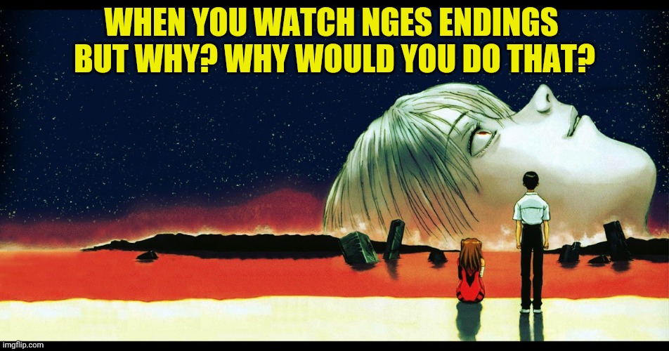 evangelion ending | WHEN YOU WATCH NGES ENDINGS 
BUT WHY? WHY WOULD YOU DO THAT? | image tagged in evangelion ending | made w/ Imgflip meme maker