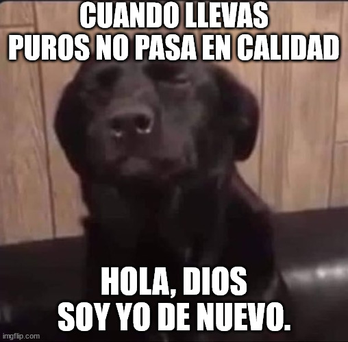 Hola Dios | CUANDO LLEVAS PUROS NO PASA EN CALIDAD; HOLA, DIOS SOY YO DE NUEVO. | image tagged in hola dios | made w/ Imgflip meme maker
