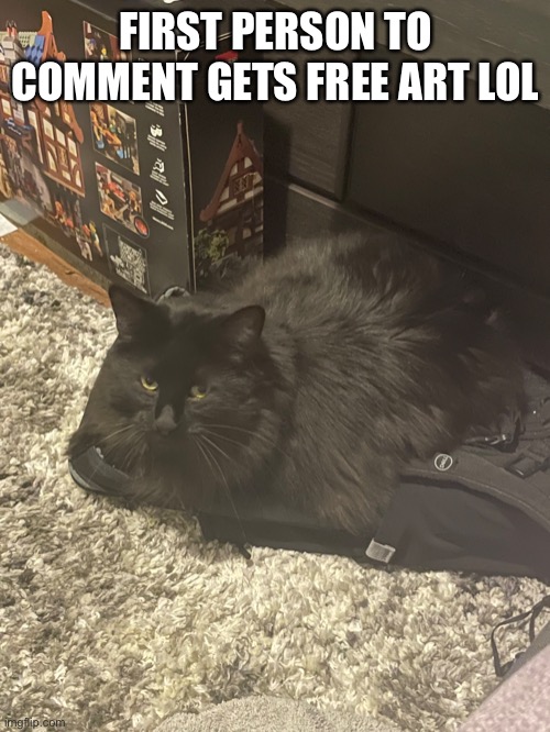 FIRST PERSON TO COMMENT GETS FREE ART LOL | image tagged in if you enable comments that is mod abuse | made w/ Imgflip meme maker