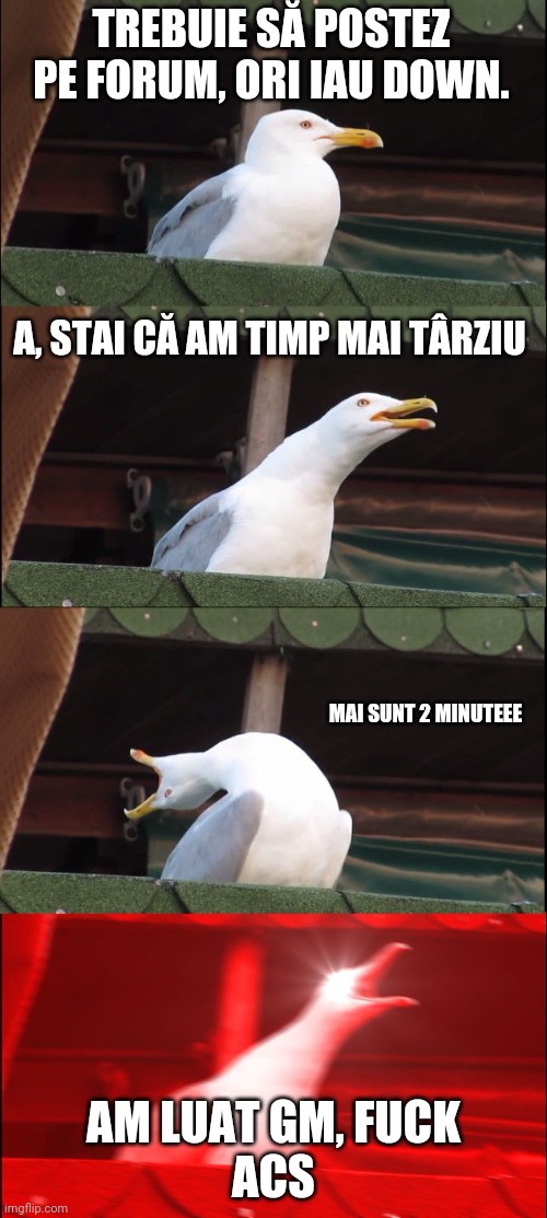 Inhaling Seagull Meme | TREBUIE SĂ POSTEZ PE FORUM, ORI IAU DOWN. A, STAI CĂ AM TIMP MAI TÂRZIU; MAI SUNT 2 MINUTEEE; AM LUAT GM, FUCK
ACS | image tagged in memes,inhaling seagull | made w/ Imgflip meme maker