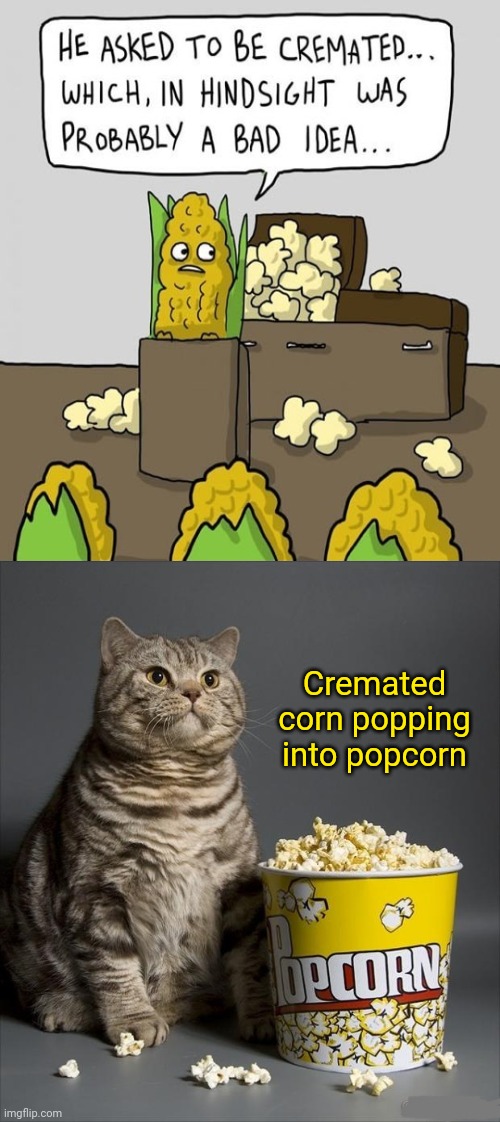 Corn and popcorn | Cremated corn popping into popcorn | image tagged in cat eating popcorn,dark humor,popcorn,corn,memes,comic | made w/ Imgflip meme maker