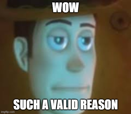 disappointed woody | WOW SUCH A VALID REASON | image tagged in disappointed woody | made w/ Imgflip meme maker
