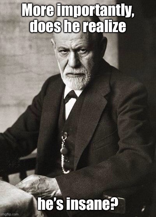 Freud | More importantly, does he realize he’s insane? | image tagged in freud | made w/ Imgflip meme maker