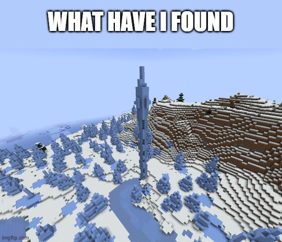 what in heccin cursed minecraft did i just find | WHAT HAVE I FOUND | image tagged in minecraft,cursed | made w/ Imgflip meme maker