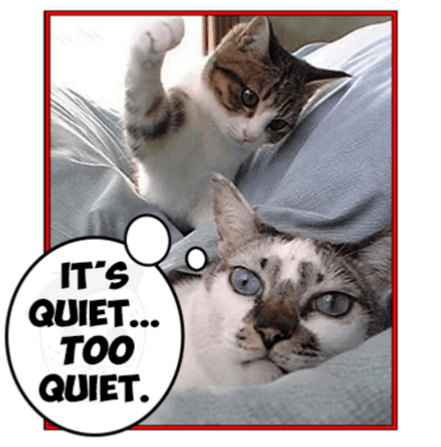 High Quality It’s quiet too quiet cats Blank Meme Template