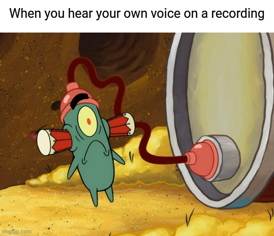 Too cringe to be true.... | When you hear your own voice on a recording | image tagged in blank white template,spongebob squarepants,plankton,eardrums,recording,hearing | made w/ Imgflip meme maker