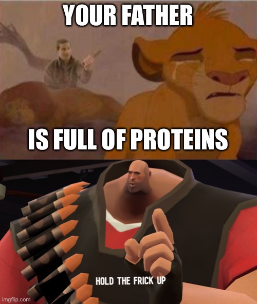 this isn’t right | YOUR FATHER; IS FULL OF PROTEINS | image tagged in hold the frick up,protein,lion king,funny,dark humor,mufasa | made w/ Imgflip meme maker