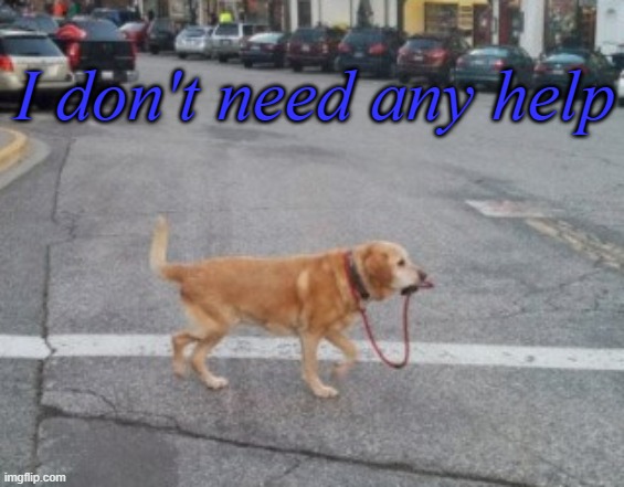 dog | I don't need any help | image tagged in dogs,no help,bruh | made w/ Imgflip meme maker