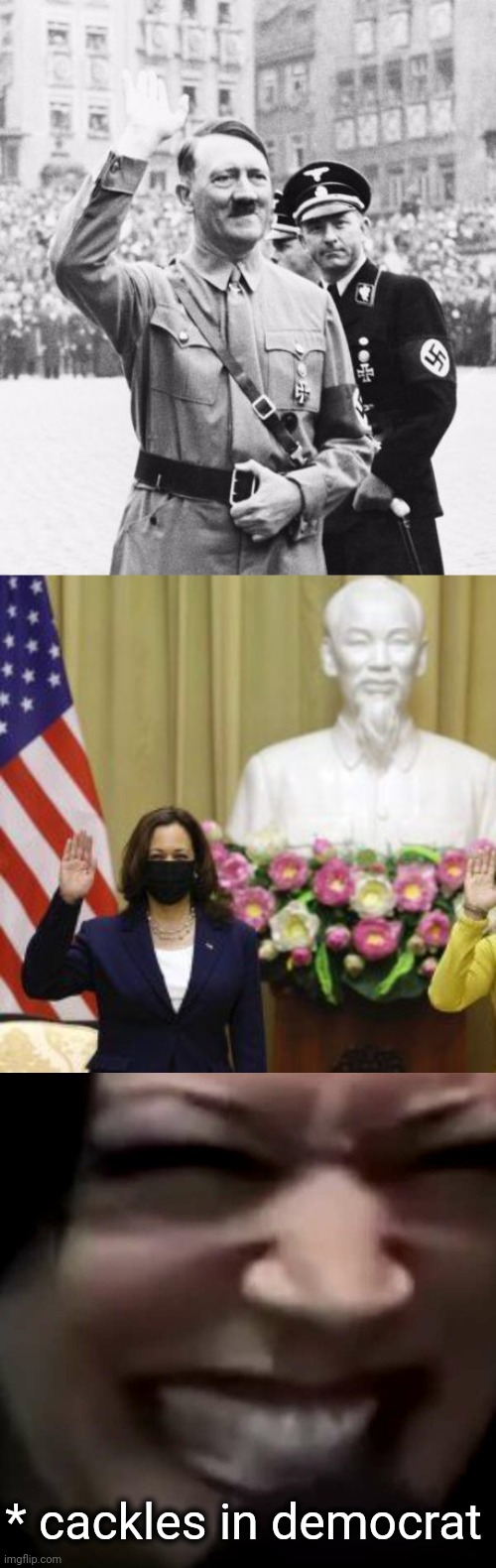 * cackles in democrat | made w/ Imgflip meme maker