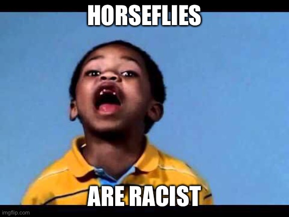 That's racist 2 | HORSEFLIES ARE RACIST | image tagged in that's racist 2 | made w/ Imgflip meme maker