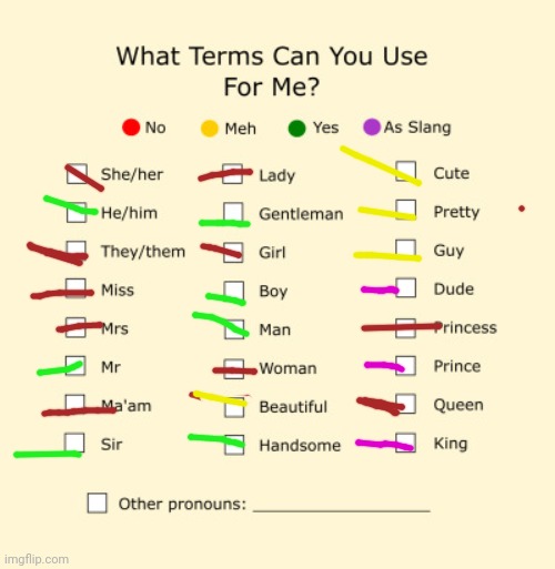 Bit messy but phone drawing is hard | image tagged in pronouns sheet | made w/ Imgflip meme maker