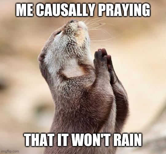 please god have mercy Ť^Ť | ME CAUSALLY PRAYING; THAT IT WON'T RAIN | image tagged in animal praying,memes,funny | made w/ Imgflip meme maker