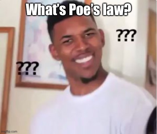 Nick Young | What’s Poe’s law? | image tagged in nick young | made w/ Imgflip meme maker