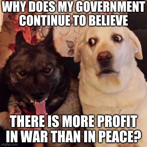 Why does my government? | WHY DOES MY GOVERNMENT CONTINUE TO BELIEVE; THERE IS MORE PROFIT IN WAR THAN IN PEACE? | image tagged in worried at evil dog,government,war,business,peace,usa | made w/ Imgflip meme maker