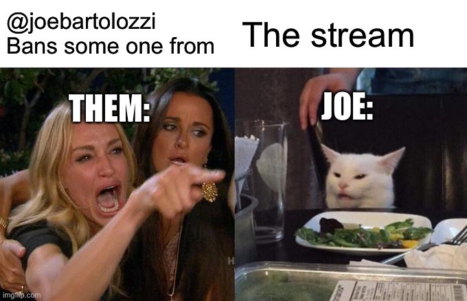 Joe bans people from stream meme | @joebartolozzi Bans some one from; The stream; JOE:; THEM: | image tagged in memes,woman yelling at cat | made w/ Imgflip meme maker