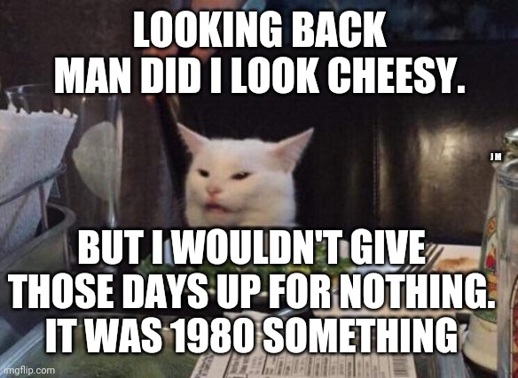 Salad cat | LOOKING BACK MAN DID I LOOK CHEESY. J M; BUT I WOULDN'T GIVE THOSE DAYS UP FOR NOTHING.  IT WAS 1980 SOMETHING | image tagged in salad cat | made w/ Imgflip meme maker