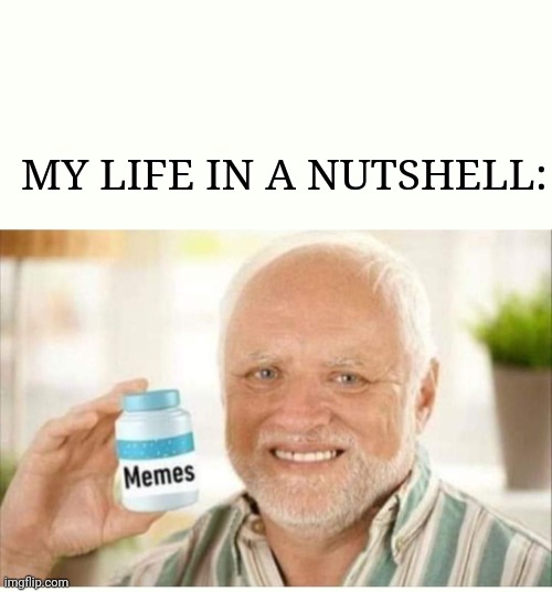 Hmmm | MY LIFE IN A NUTSHELL: | image tagged in memes | made w/ Imgflip meme maker