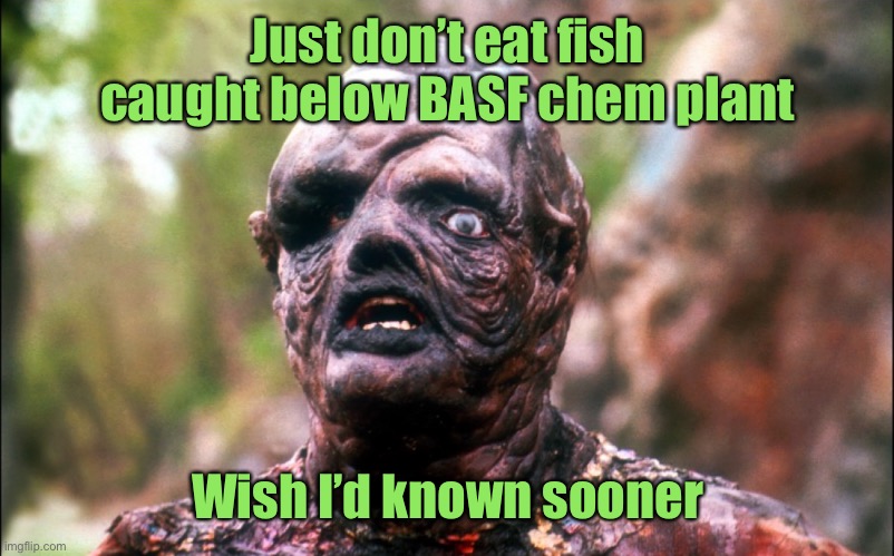 hideously deformed face | Just don’t eat fish caught below BASF chem plant Wish I’d known sooner | image tagged in hideously deformed face | made w/ Imgflip meme maker