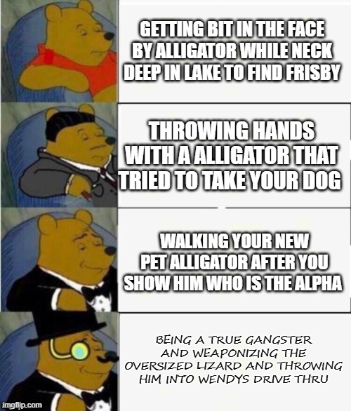 Evolution of Florida man | GETTING BIT IN THE FACE BY ALLIGATOR WHILE NECK DEEP IN LAKE TO FIND FRISBY; THROWING HANDS WITH A ALLIGATOR THAT TRIED TO TAKE YOUR DOG; WALKING YOUR NEW PET ALLIGATOR AFTER YOU SHOW HIM WHO IS THE ALPHA; BEING A TRUE GANGSTER AND WEAPONIZING THE OVERSIZED LIZARD AND THROWING HIM INTO WENDYS DRIVE THRU | image tagged in tuxedo winnie the pooh 4 panel | made w/ Imgflip meme maker