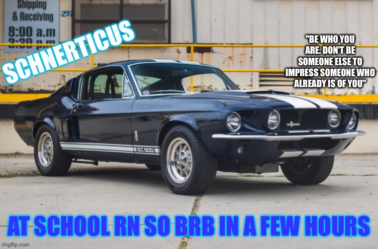 schnerticus temp | AT SCHOOL RN SO BRB IN A FEW HOURS | image tagged in schnerticus temp | made w/ Imgflip meme maker