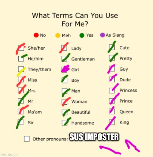 Pronouns Sheet Imgflip