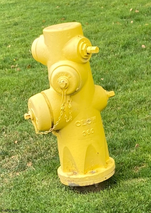 i found the anti vax kid fire hydrant | made w/ Imgflip meme maker