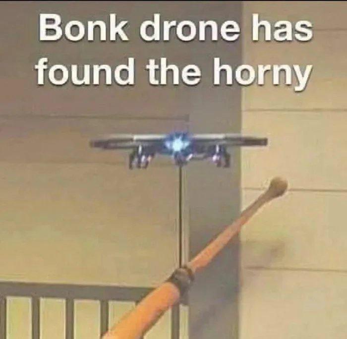 Bonk Drone Blank Meme Template