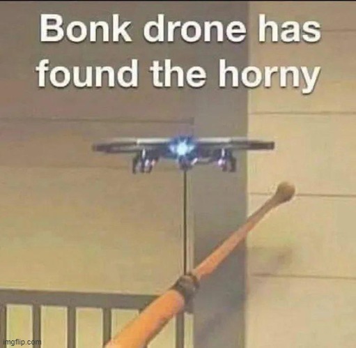 bonk drone | image tagged in bonk drone | made w/ Imgflip meme maker