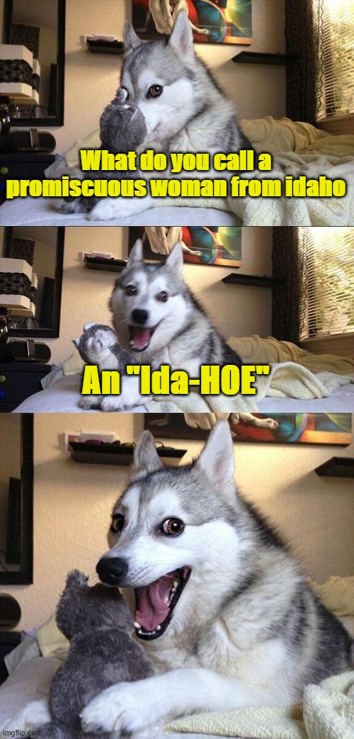 An Ida-HOE | What do you call a promiscuous woman from idaho; An "Ida-HOE" | image tagged in memes,bad pun dog | made w/ Imgflip meme maker