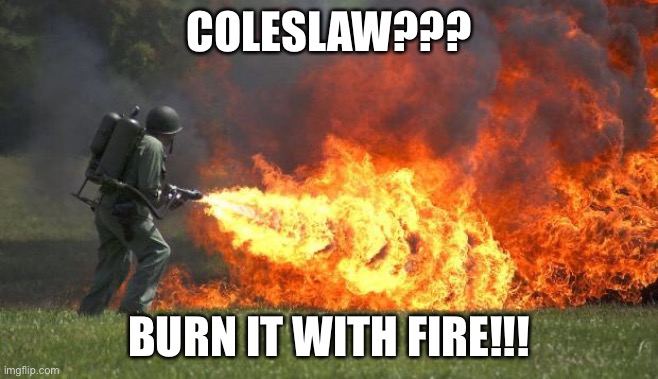 flamethrower | COLESLAW??? BURN IT WITH FIRE!!! | image tagged in flamethrower | made w/ Imgflip meme maker