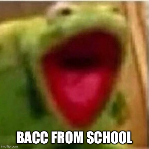 AHHHHHHHHHHHHH | BACC FROM SCHOOL | image tagged in ahhhhhhhhhhhhh | made w/ Imgflip meme maker