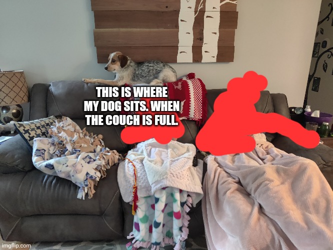 THIS IS WHERE MY DOG SITS. WHEN THE COUCH IS FULL. | made w/ Imgflip meme maker