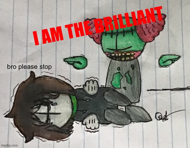 I AM THE BRILLIANT bro please stop | made w/ Imgflip meme maker