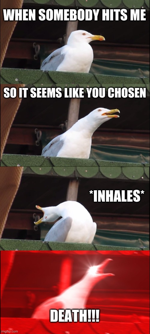 Inhaling Seagull | WHEN SOMEBODY HITS ME; SO IT SEEMS LIKE YOU CHOSEN; *INHALES*; DEATH!!! | image tagged in memes,inhaling seagull | made w/ Imgflip meme maker