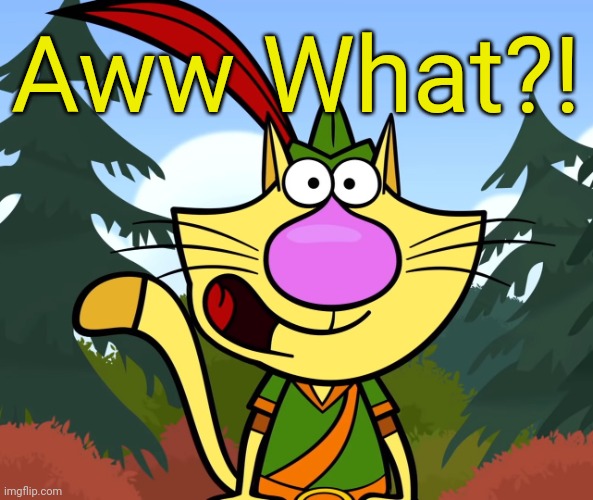 No Way!! (Nature Cat) | Aww What?! | image tagged in no way nature cat | made w/ Imgflip meme maker