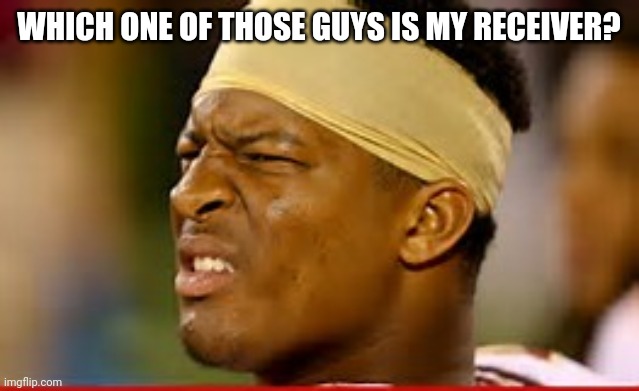 jameis winston | WHICH ONE OF THOSE GUYS IS MY RECEIVER? | image tagged in jameis winston | made w/ Imgflip meme maker