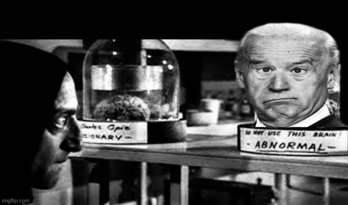 Old Fullofschizastein | image tagged in memes,joe biden,politics lol | made w/ Imgflip meme maker