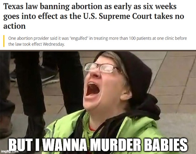 Anyone who supports abortion, supports baby murder | BUT I WANNA MURDER BABIES | image tagged in crying liberal | made w/ Imgflip meme maker