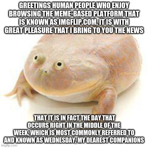 it may or may not be wednesday, my D00DS | GREETINGS HUMAN PEOPLE WHO ENJOY BROWSING THE MEME-BASED PLATFORM THAT IS KNOWN AS IMGFLIP.COM, IT IS WITH GREAT PLEASURE THAT I BRING TO YOU THE NEWS; THAT IT IS IN FACT THE DAY THAT OCCURS RIGHT IN THE MIDDLE OF THE WEEK, WHICH IS MOST COMMONLY REFERRED TO AND KNOWN AS WEDNESDAY, MY DEAREST COMPANIONS | image tagged in wednesday frog blank | made w/ Imgflip meme maker