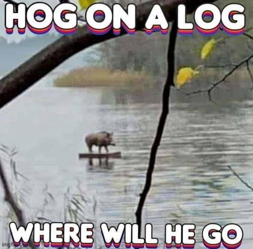 where | made w/ Imgflip meme maker