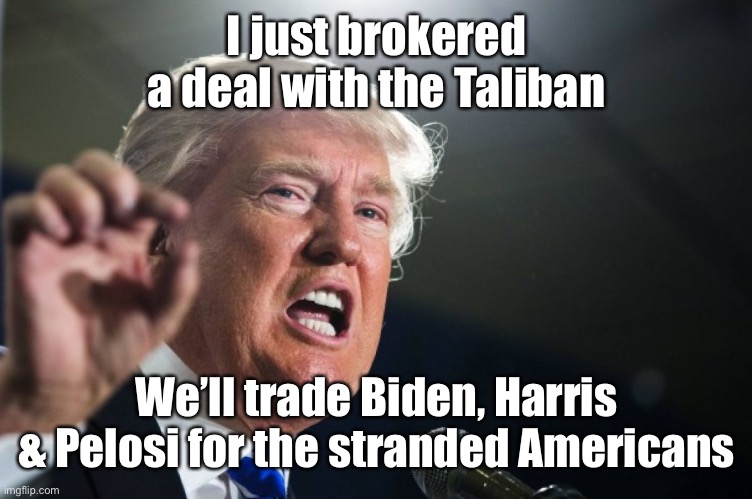 donald trump | I just brokered a deal with the Taliban We’ll trade Biden, Harris & Pelosi for the stranded Americans | image tagged in donald trump | made w/ Imgflip meme maker