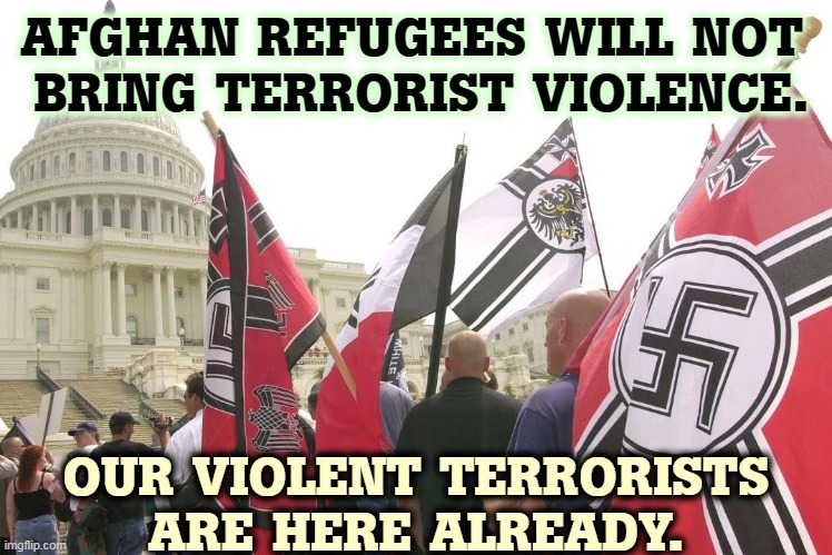 Our major threat of terrorist violence comes from homegrown Neo Nazi white supremacists. | AFGHAN REFUGEES WILL NOT 
BRING TERRORIST VIOLENCE. OUR VIOLENT TERRORISTS ARE HERE ALREADY. | image tagged in nazis neo-nazi flags parade capitol washington dc,terrorist,violence,right wing,white supremacists | made w/ Imgflip meme maker