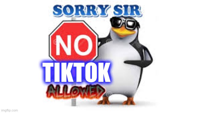 NO Anime Allowed | TIKTOK | image tagged in no anime allowed | made w/ Imgflip meme maker