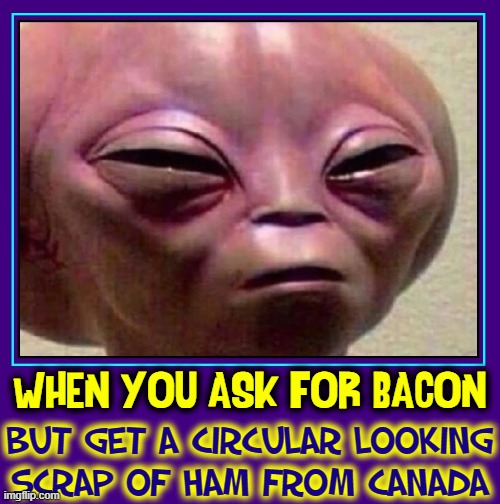Bacon: the Reason Aliens Come to Earth | WHEN YOU ASK FOR BACON; BUT GET A CIRCULAR LOOKING
SCRAP OF HAM FROM CANADA | image tagged in vince vance,alien,bacon,memes,canadian bacon,that look | made w/ Imgflip meme maker