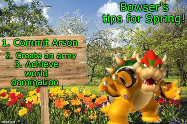 Bowser's tips for spring! | Bowser's tips for Spring! 1. Commit Arson; 2. Create an army; 3. Achieve world domination | made w/ Imgflip meme maker