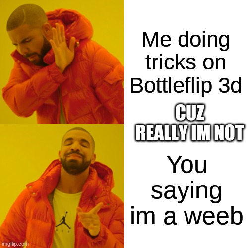 Me doing tricks on Bottleflip 3d You saying im a weeb CUZ REALLY IM NOT | image tagged in memes,drake hotline bling | made w/ Imgflip meme maker
