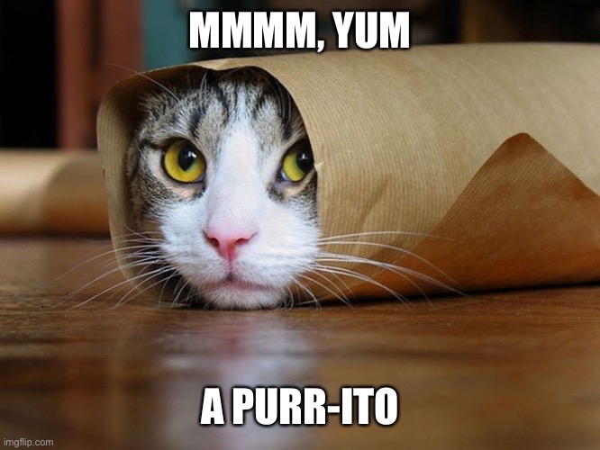 purrito | MMMM, YUM; A PURR-ITO | image tagged in purrito | made w/ Imgflip meme maker